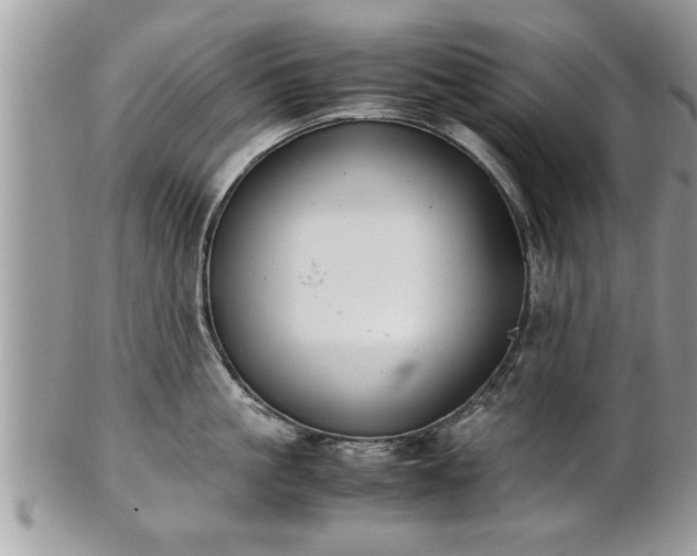 X0000101220861200807071346