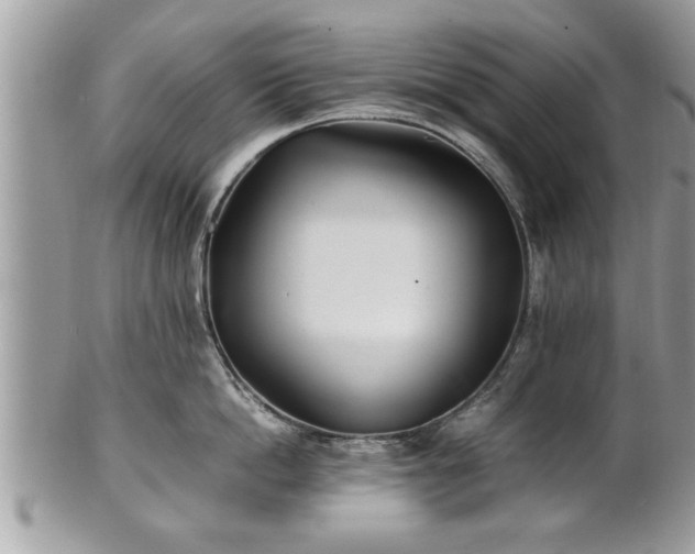 X0000101220862200807071346