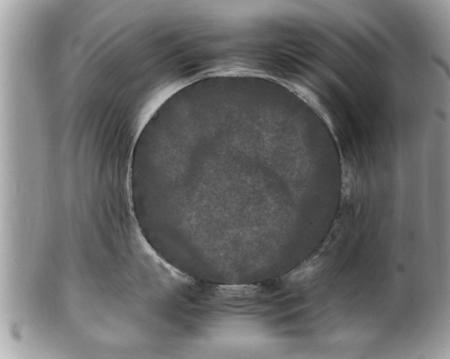 X0000101220863200807071346
