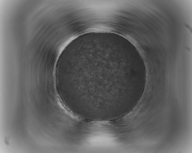 X0000101220864200807071346