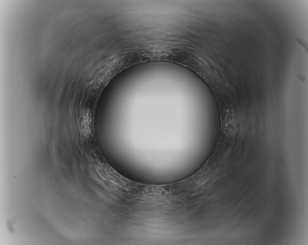 X0000101220866200807071345
