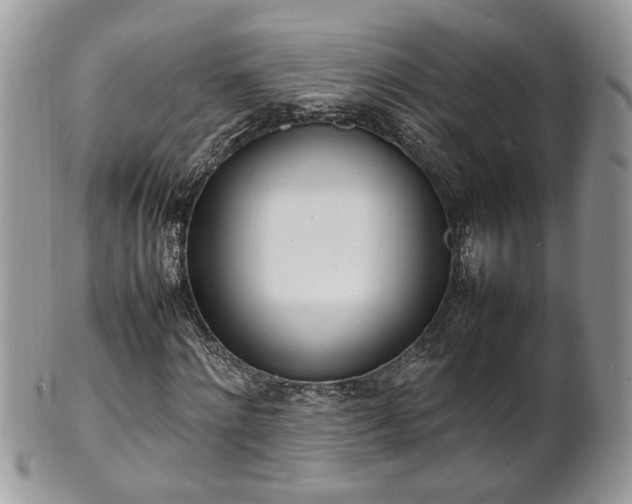 X0000101220868200807071345
