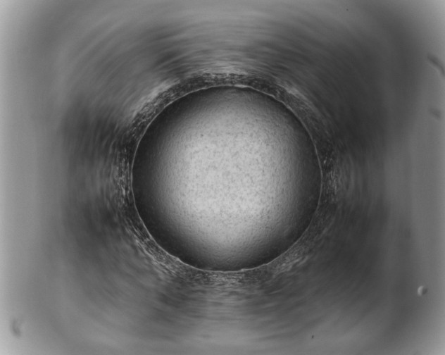 X0000101220870200807071345