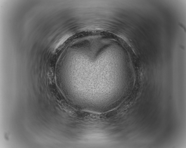 X0000101220871200807071345