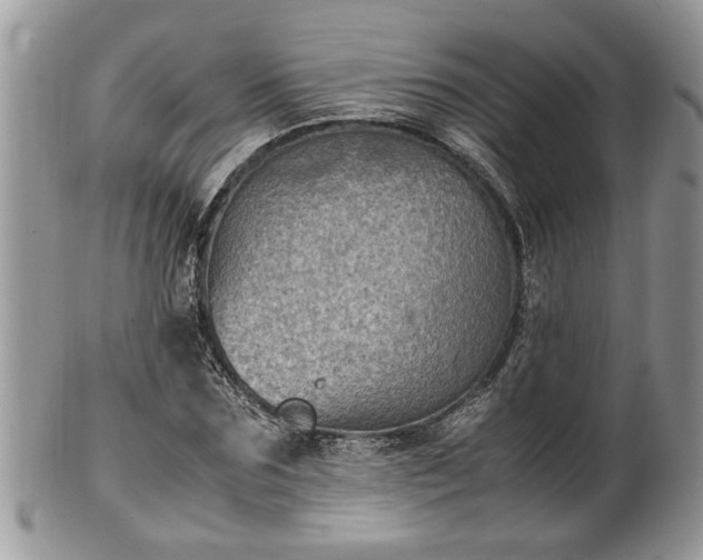 X0000101220875200807071345