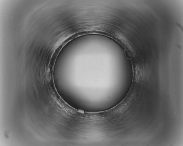 X0000101220876200807071345
