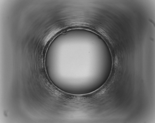 X0000101220877200807071345