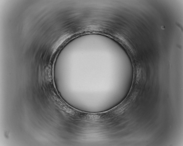 X0000101220878200807071345