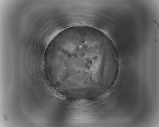 X0000101220879200807071345