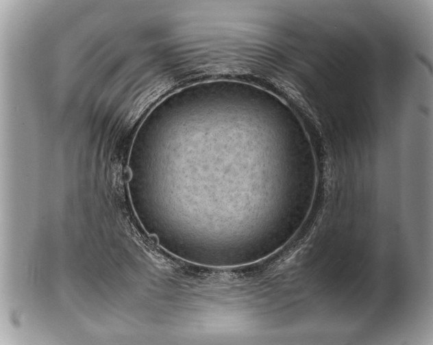 X0000101220881200807071345