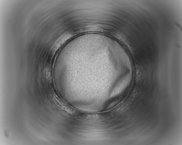 X0000101220882200807071345