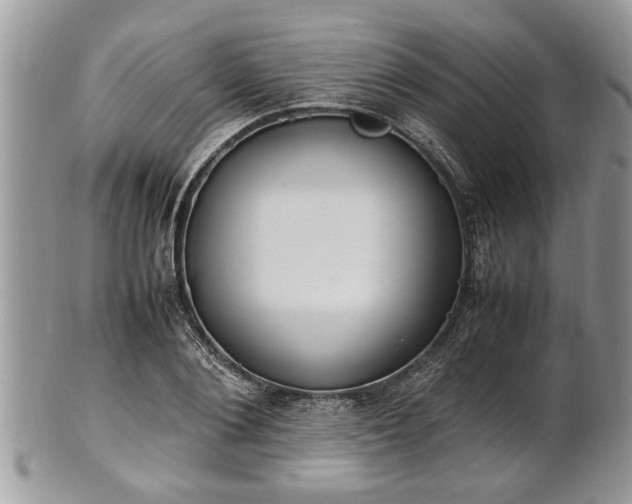 X0000101220884200807071345