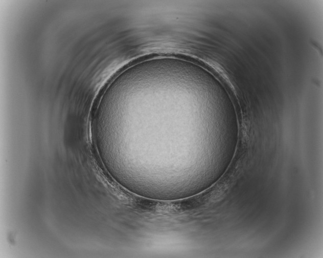 X0000101220887200807071345