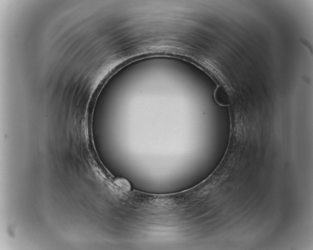 X0000101220888200807071345