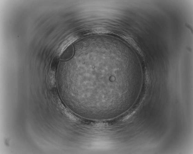 X0000101220889200807071345