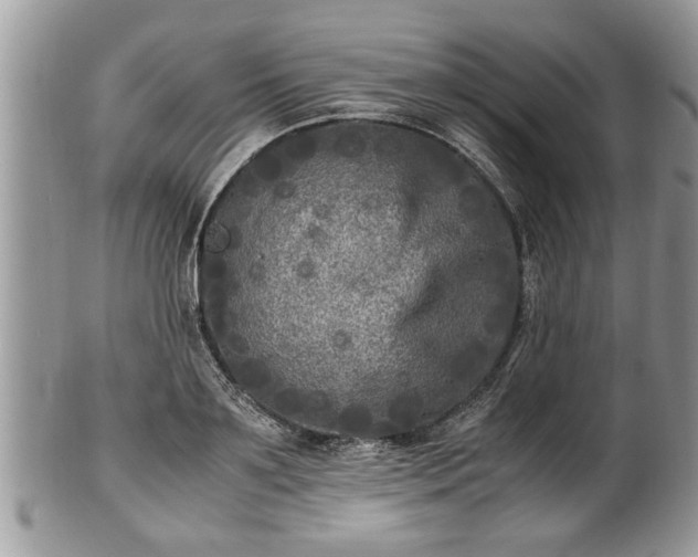 X0000101220891200807071345