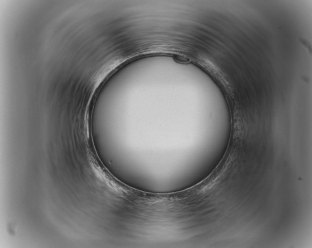 X0000101220892200807071345