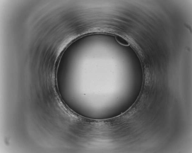 X0000101220896200807071345