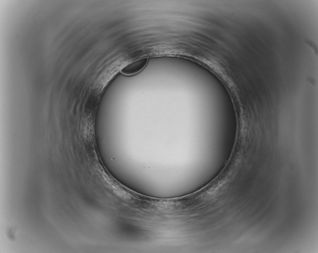 X0000101220897200807071345