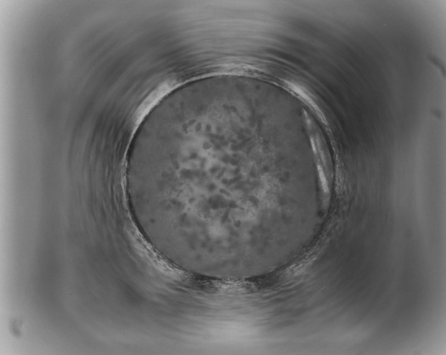 X0000101220899200807071345