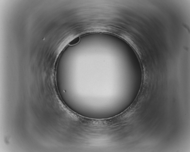 X0000101220901200807071345