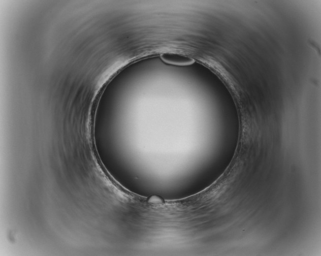 X0000101220902200807071345