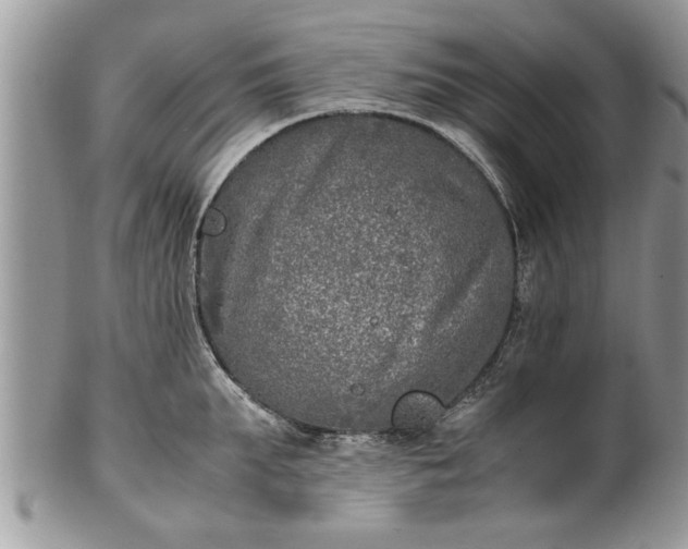 X0000101220903200807071345