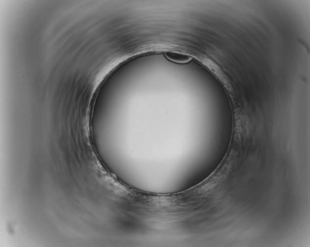 X0000101220904200807071345