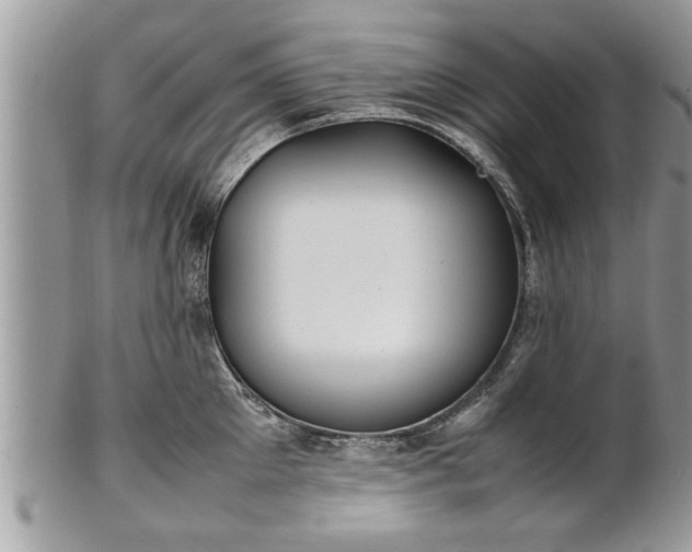 X0000101220905200807071344