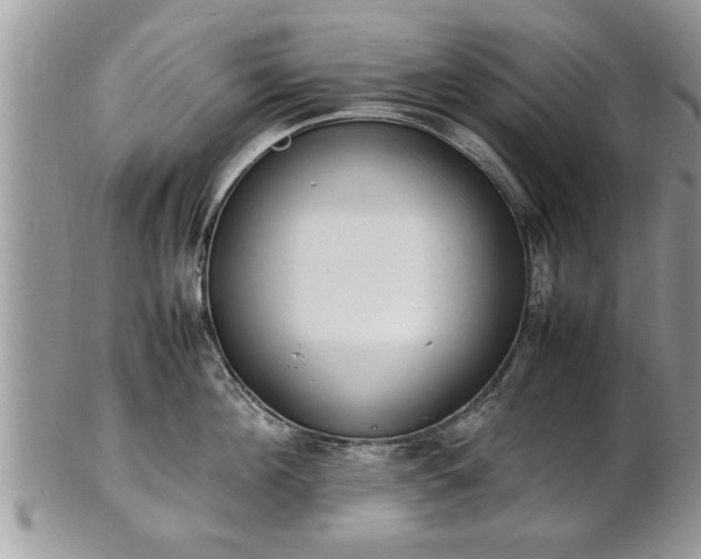 X0000101220908200807071344
