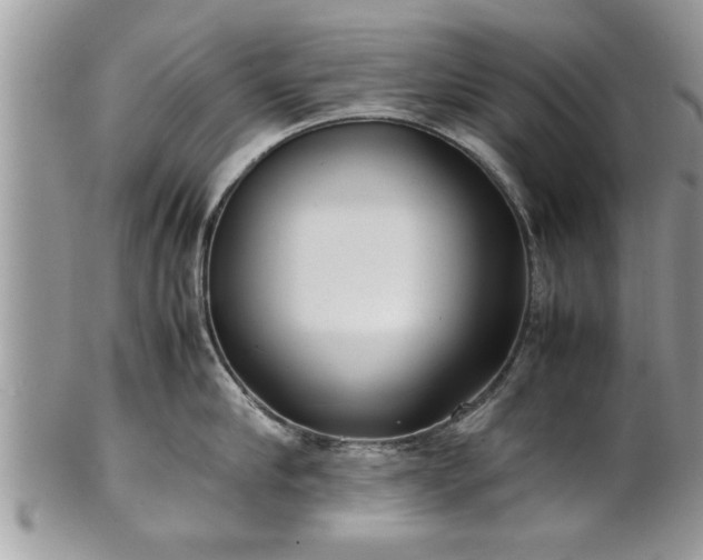 X0000101220910200807071344