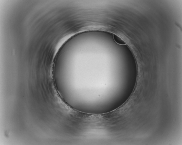 X0000101220912200807071344