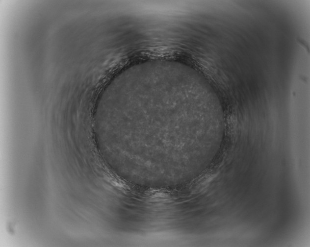 X0000101220913200807071344