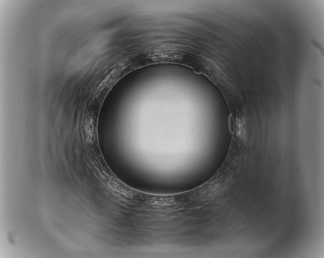 X0000101220915200807071344