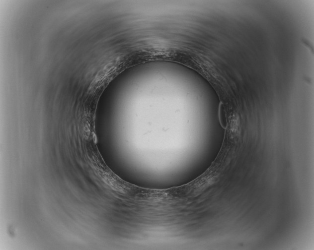 X0000101220916200807071344