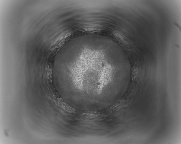 X0000101220917200807071344