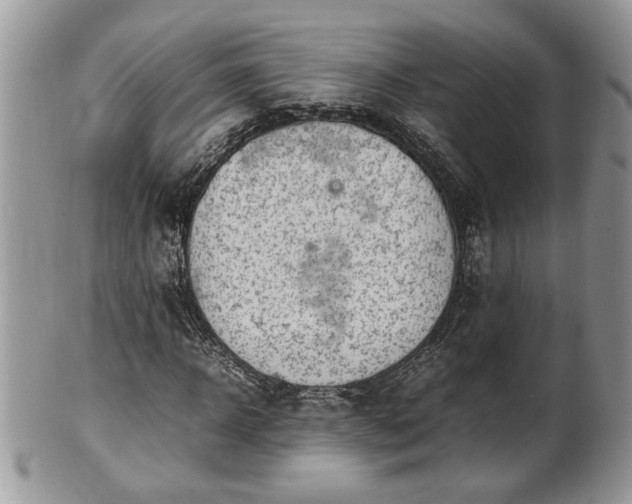 X0000101220918200807071344