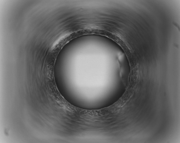 X0000101220919200807071344