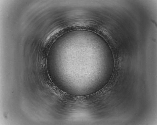 X0000101220920200807071344