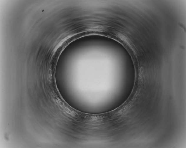 X0000101220923200807071344