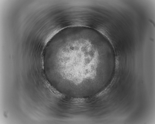 X0000101220925200807071344