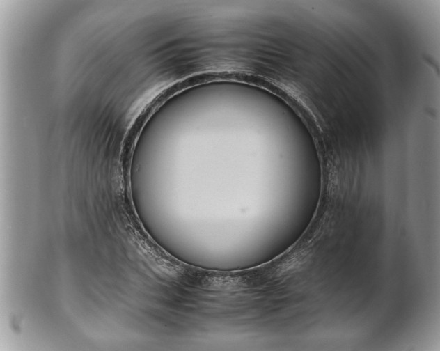 X0000101220927200807071344