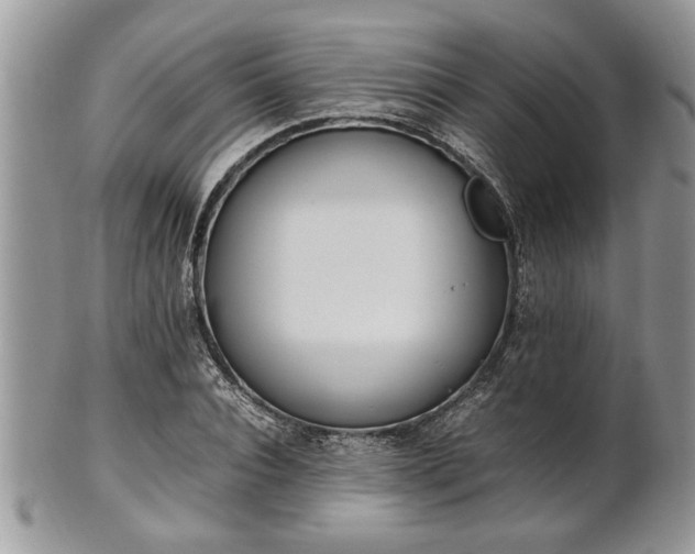 X0000101220928200807071344