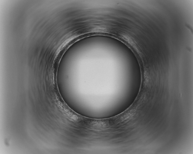 X0000101220931200807071344