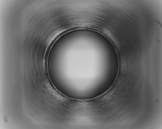 X0000101220932200807071344