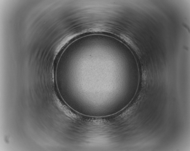 X0000101220934200807071344