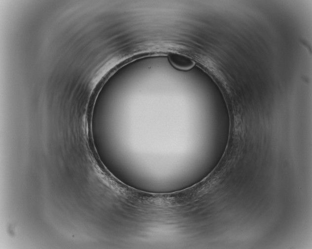 X0000101220936200807071344
