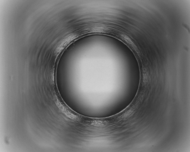 X0000101220938200807071344