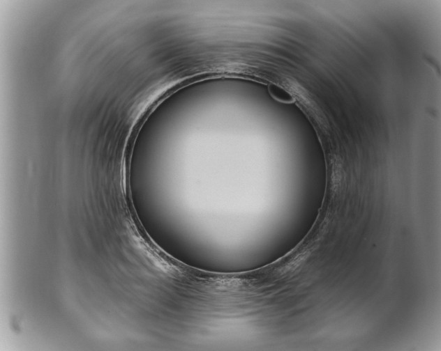 X0000101220940200807071344