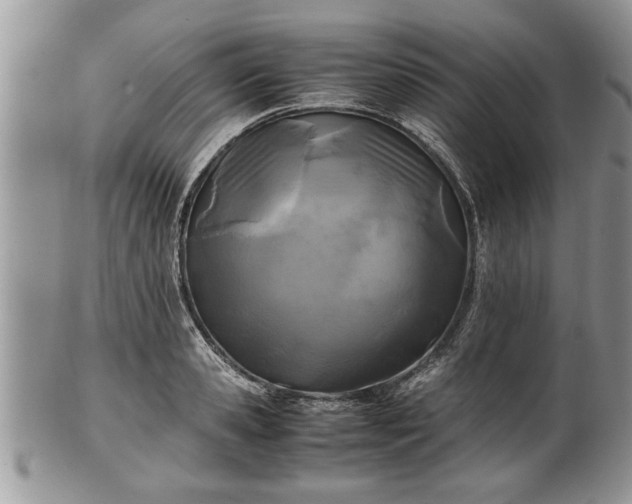 X0000101220941200807071344